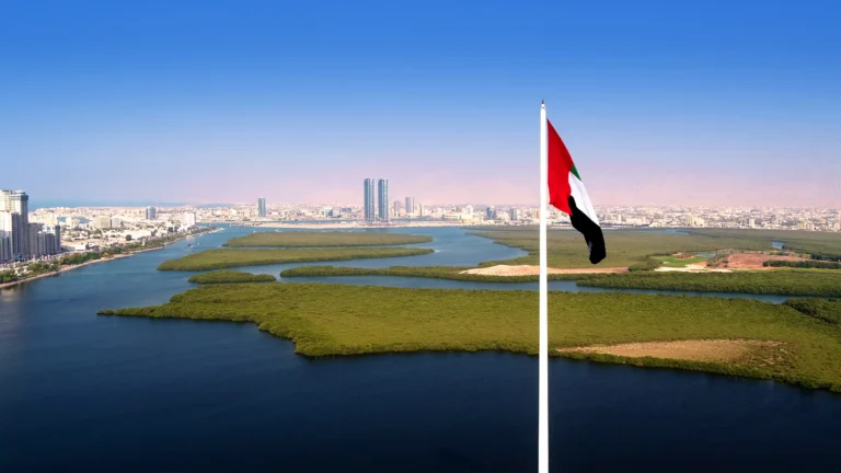 خدمات التنظيف في رأس الخيمة