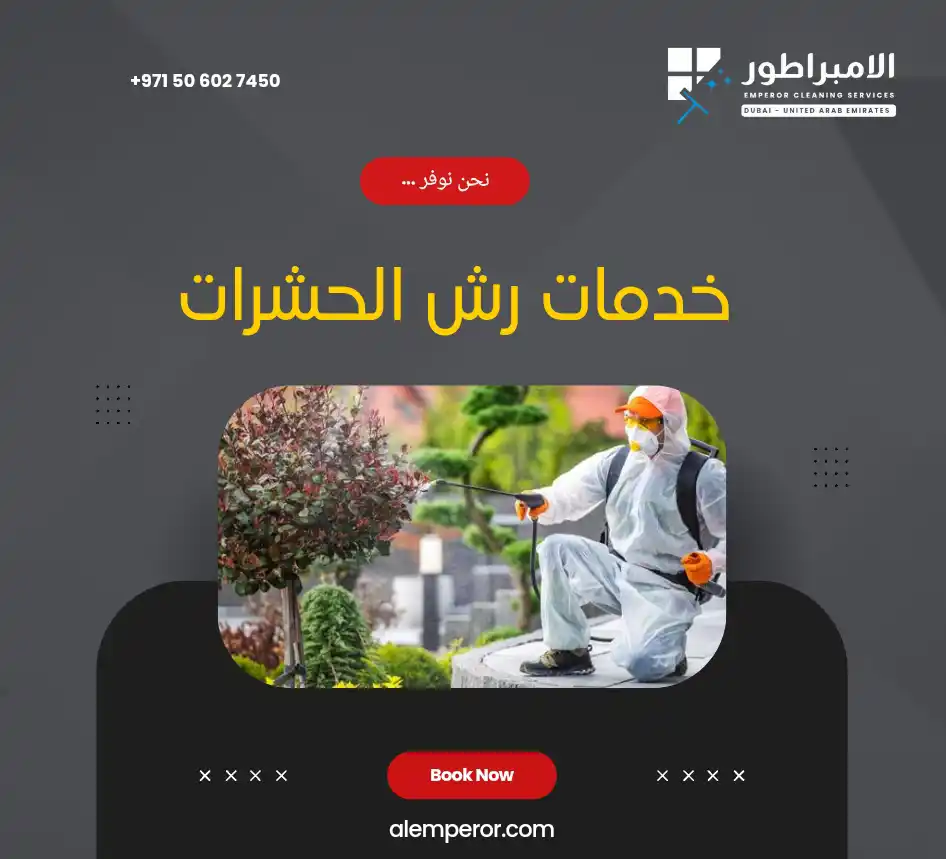 خدمات رش الحشرات 