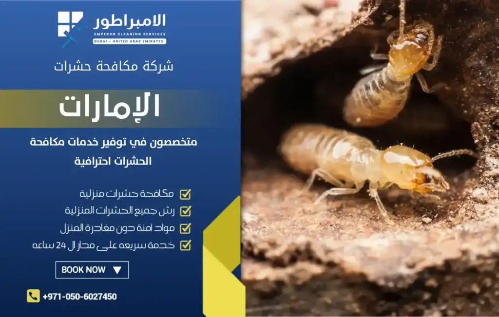 إبادة ومكافحة النمل الأبيض في دبي