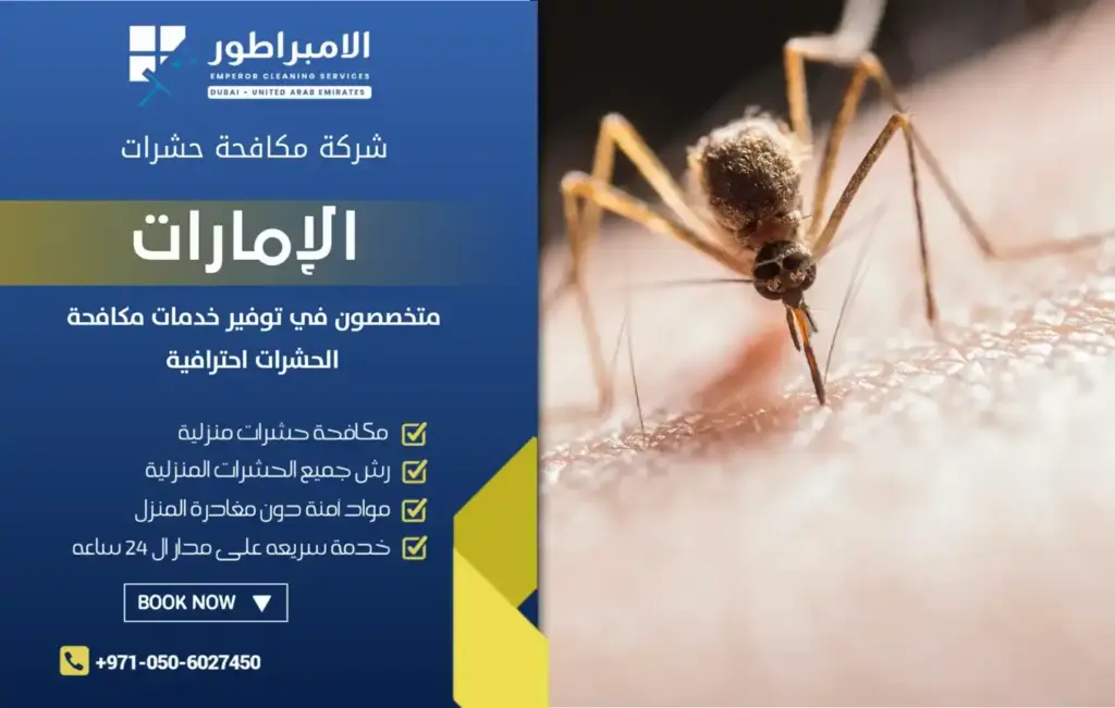 ارخص شركة مكافحة البعوض بدبي