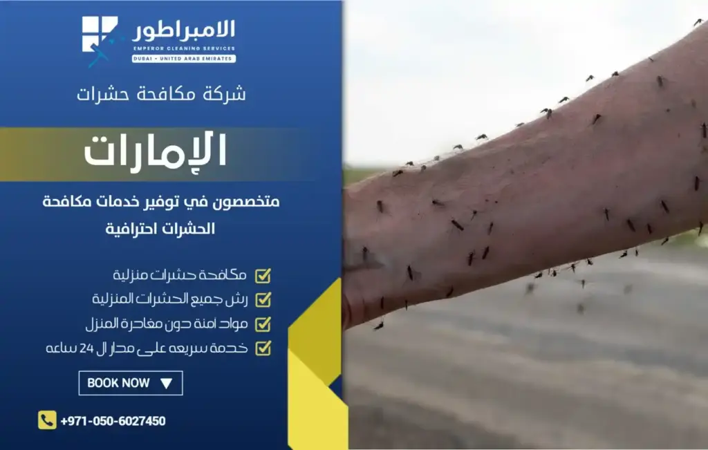 ارخص شركة مكافحة الناموس بدبي