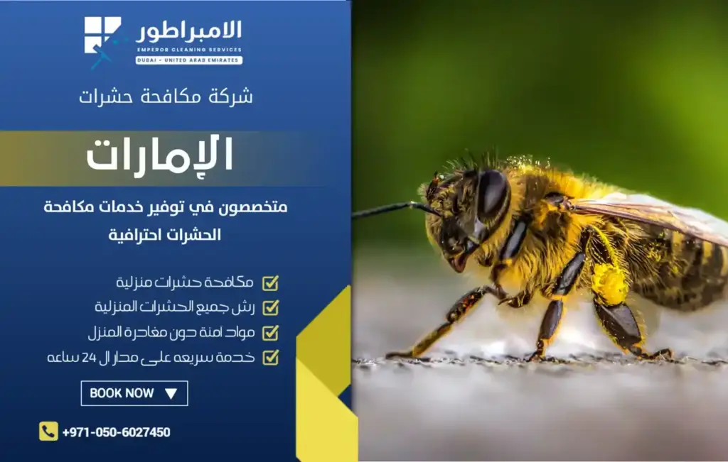 ارخص شركة مكافحة النحل بدبي