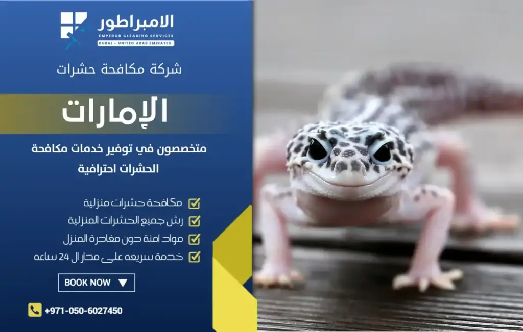 افضل شركة مكافحة الابراص بدبي