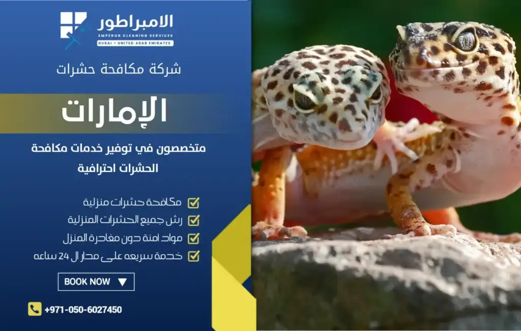 شركة الإمبراطور لمكافحة الابراص في دبي
