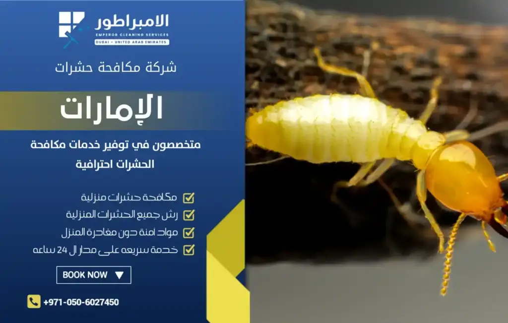 شركة الإمبراطور لمكافحة النمل الابيض بدبي