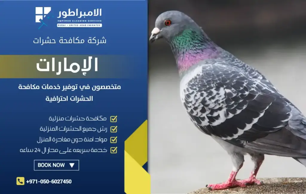 شركة طارد حمام في دبي