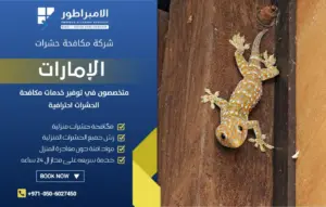 شركة مكافحة الأبراص في دبي