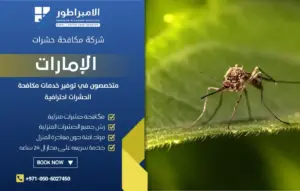 شركة مكافحة البعوض في دبي