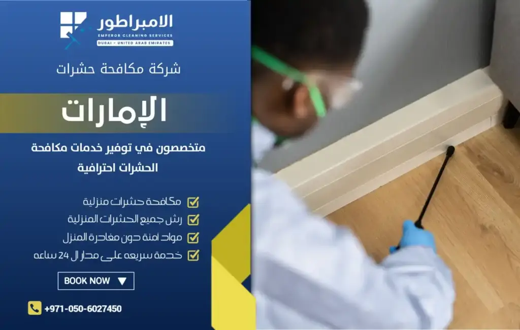 شركة مكافحة النمل الابيض بدبي بأقل سعر