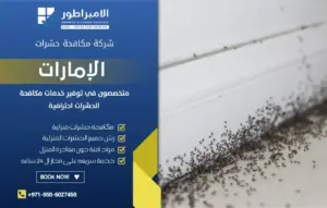 شركة مكافحة النمل الاسود بدبي