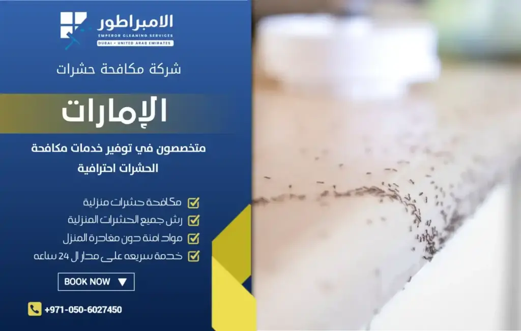 مؤسسة مكافحة النمل الاسود بدبي