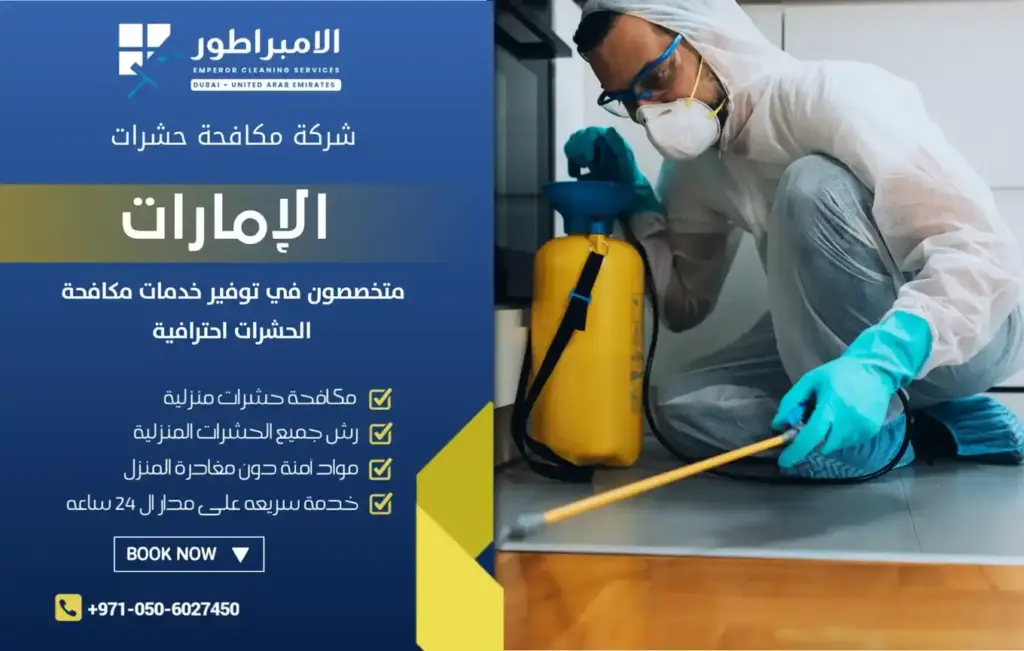 مكافحة النمل الاسود في دبي