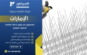 شركة مكافحة الحمام في أم القيوين