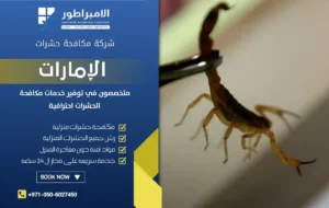 شركة مكافحة العقارب في أم القيوين