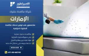 شركة مكافحة بق الفراش في أم القيوين
