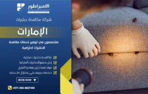 شركة مكافحة حشرات في عجمان