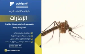 شركة مكافحة البعوض في العين