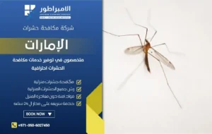 شركة مكافحة البعوض في عجمان