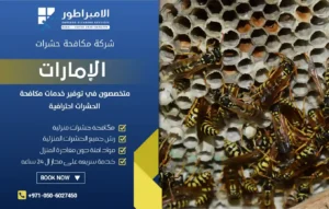 شركة مكافحة الدبابير في العين