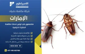 شركة مكافحة الصراصير في الفجيرة