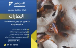 شركة مكافحة الصراصير في عجمان