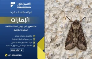 شركة مكافحة العثة في العين