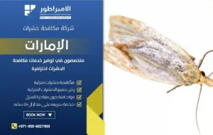 شركة مكافحة العثه في عجمان