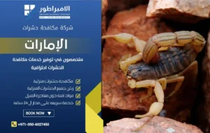 شركة مكافحة العقارب في العين
