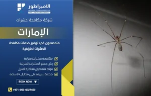 شركة مكافحة العناكب في العين