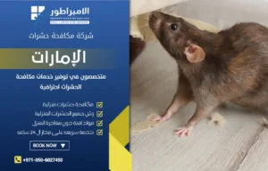 شركة مكافحة الفئران في أم القيوين