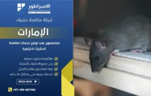 شركة مكافحة الفئران في العين