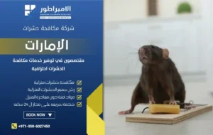 شركة مكافحة الفئران في عجمان
