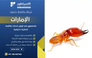 شركة مكافحة النمل الأبيض في أم القيوين