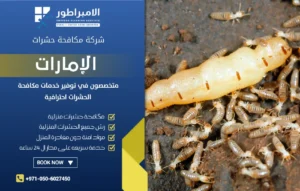 شركة مكافحة النمل الأبيض في عجمان
