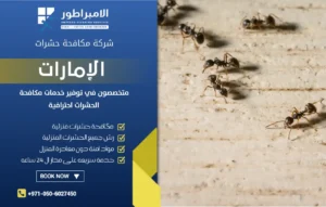 شركة مكافحة النمل في العين