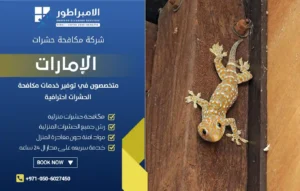 شركة مكافحة الوزغ في العين