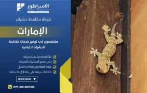 شركة مكافحة الوزغ في عجمان