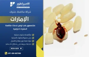 شركة مكافحة بق الفراش في العين