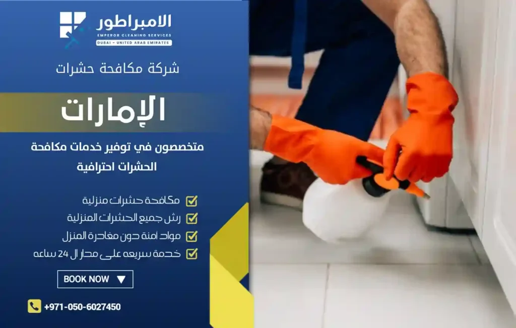ارخص شركة مكافحة حشرات في الرحمانية