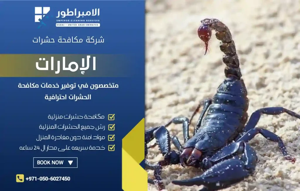ارخص شركة مكافحة عقارب في السيوح