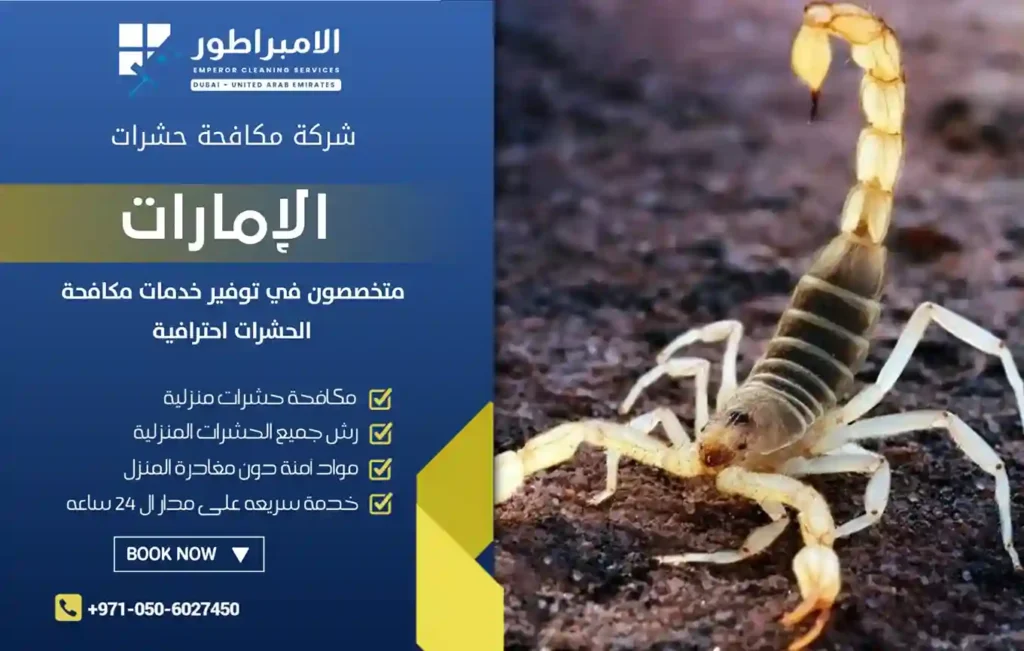 افضل شركة مكافحة عقارب في السيوح