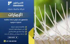 شركة مكافحة الحمام في الفجيرة