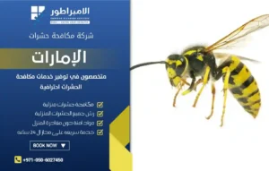 شركة مكافحة الدبابير في الفجيرة