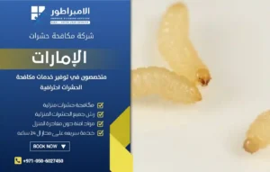 شركة مكافحة الرمة في السيوح