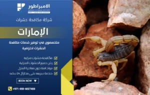 شركة مكافحة العقارب في الفجيرة