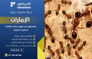 شركة مكافحة النمل الأسود في السيوح