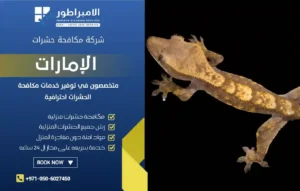 شركة مكافحة الوزغ في الفجيرة