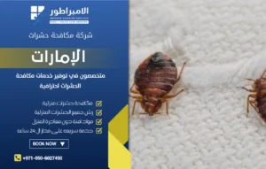 شركة مكافحة بق الفراش في الفجيرة