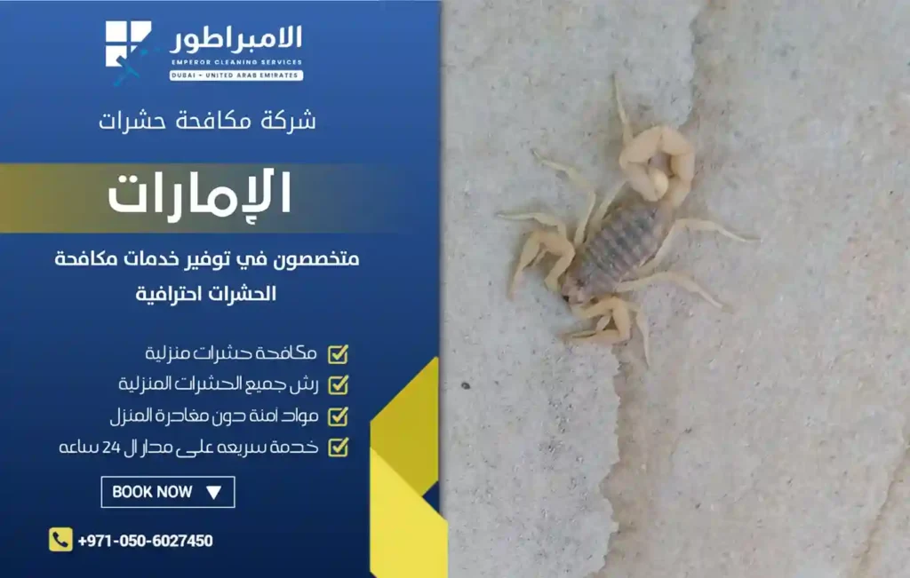 شركة مكافحة عقارب بالسيوح