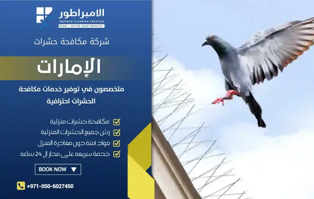 ارخص شركة تركيب طارد الحمام في الرحمانية